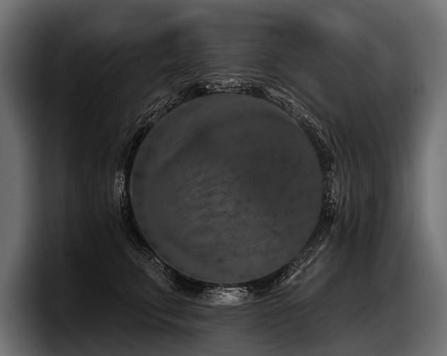 X0000097950711200803241153