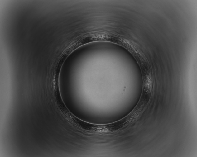 X0000097950715200803241153