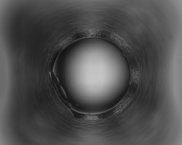 X0000097950719200803241153