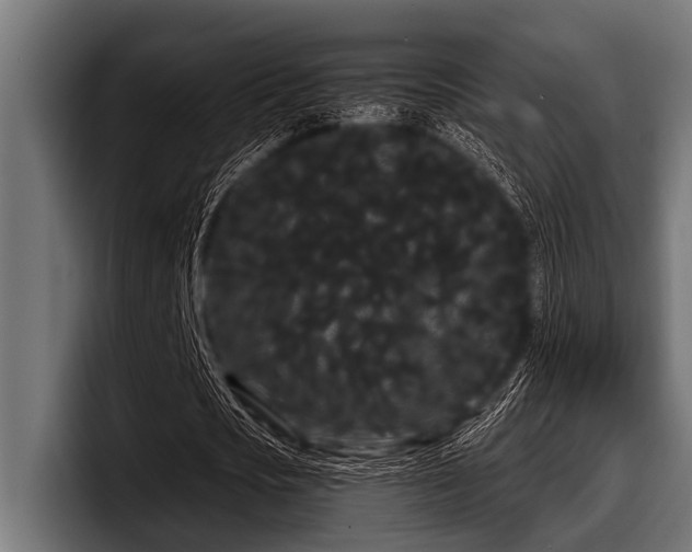X0000097950721200803241153