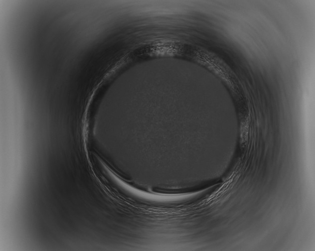 X0000097950722200803241153