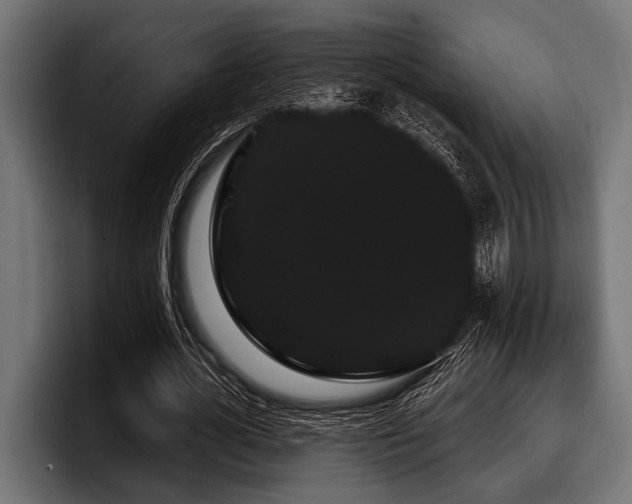X0000097950724200803241153