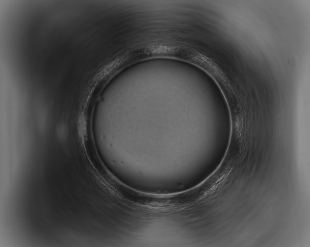 X0000097950725200803241153