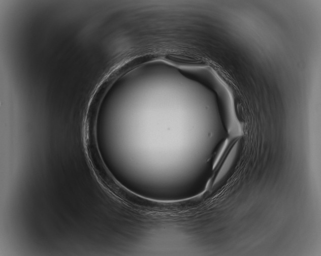 X0000097950726200803241153