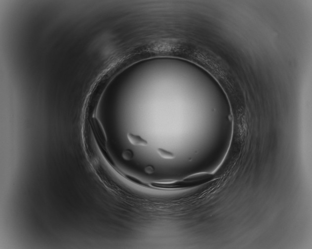 X0000097950728200803241153