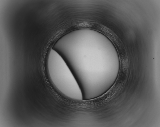 X0000097950729200803241153