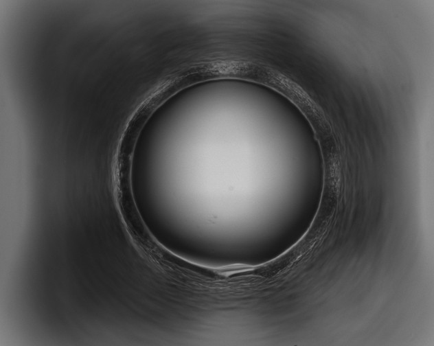 X0000097950730200803241153