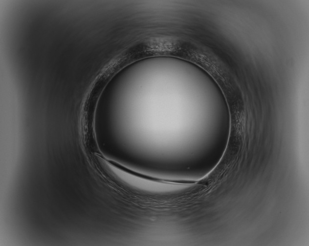 X0000097950731200803241153