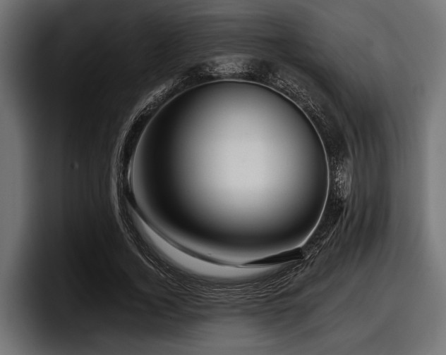 X0000097950732200803241153