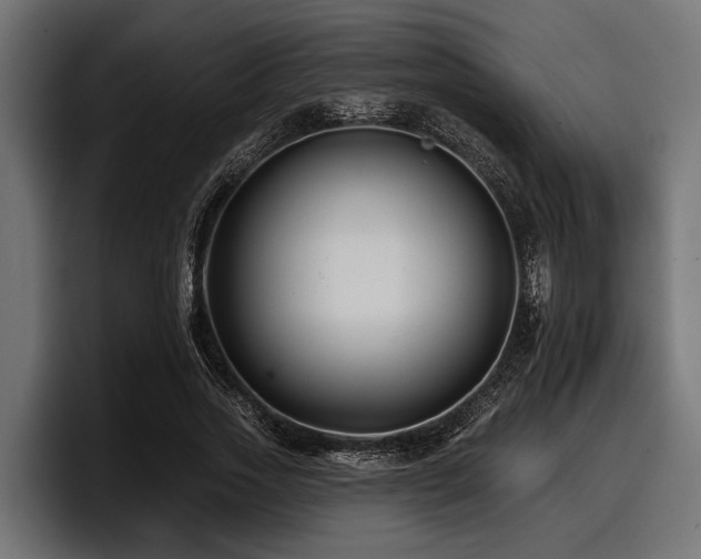 X0000097950733200803241153