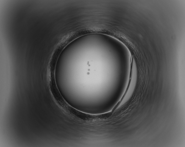 X0000097950734200803241153