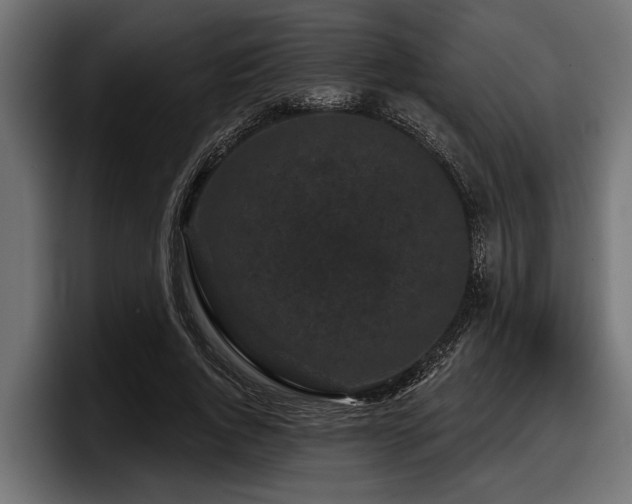 X0000097950736200803241153