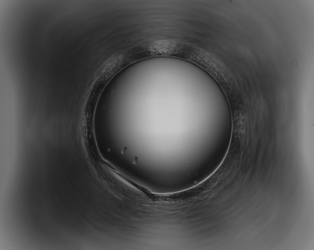 X0000097950738200803241153