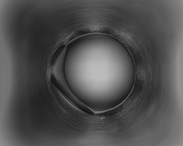 X0000097950740200803241153