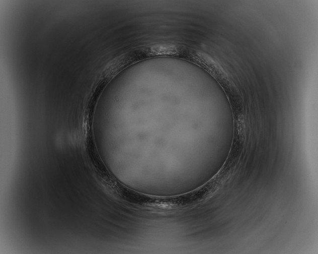 X0000097950741200803241153