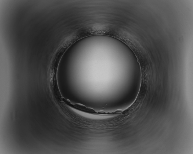 X0000097950742200803241153