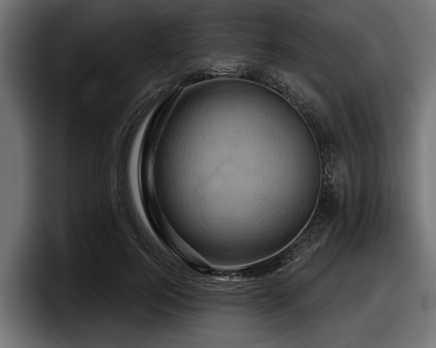 X0000097950744200803241153