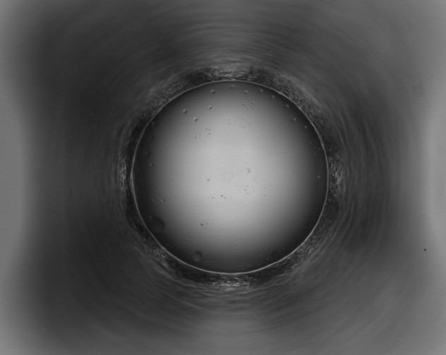 X0000097950745200803241153