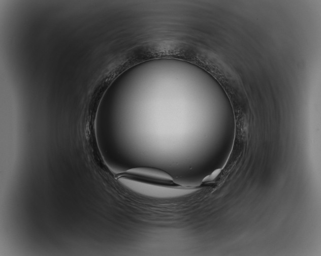 X0000097950746200803241153