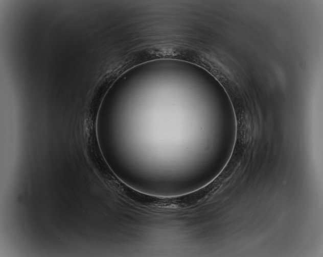 X0000097950747200803241153
