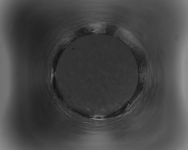 X0000097950748200803241153
