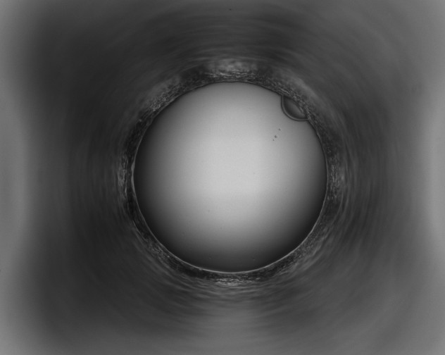 X0000097950749200803241153