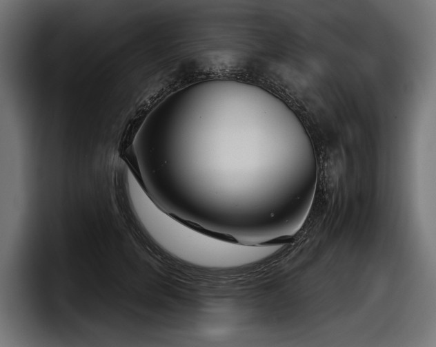 X0000097950750200803241153