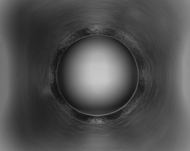 X0000097950751200803241153