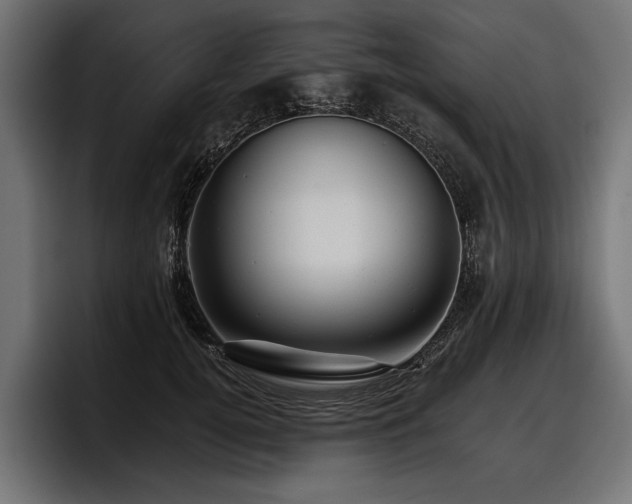 X0000097950752200803241153