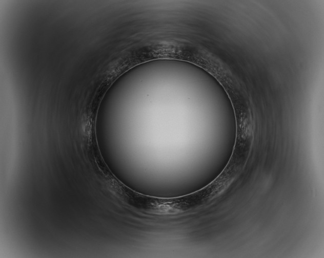 X0000097950753200803241153