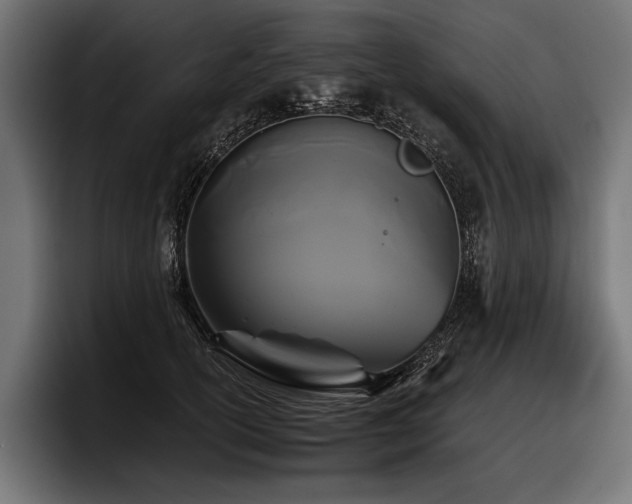 X0000097950754200803241153