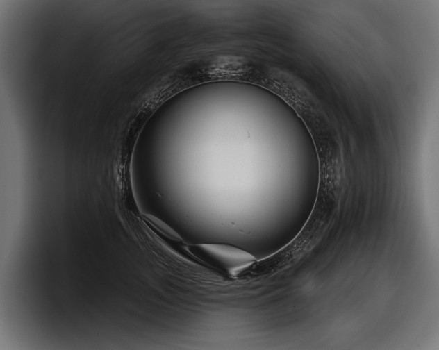 X0000097950755200803241153