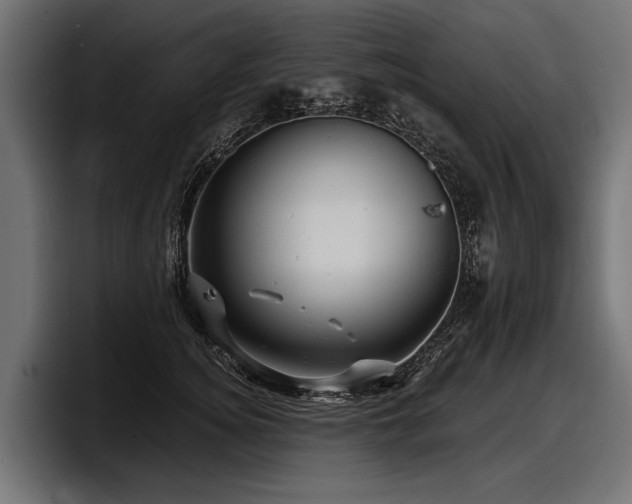 X0000097950756200803241153