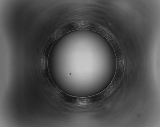 X0000097950757200803241153
