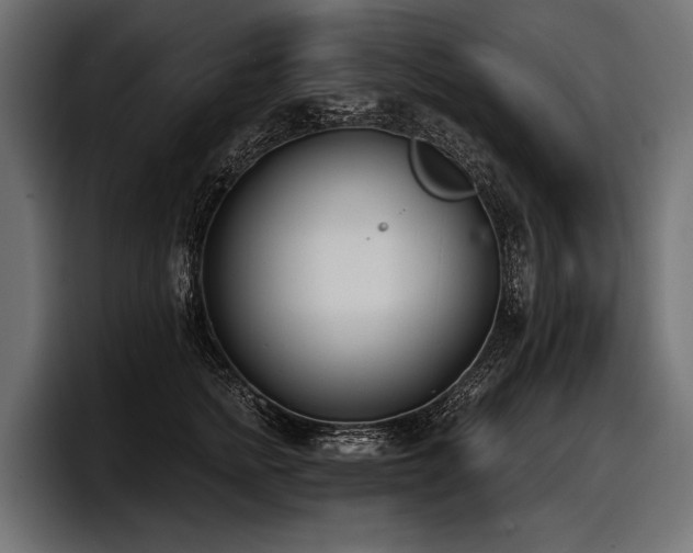 X0000097950758200803241153