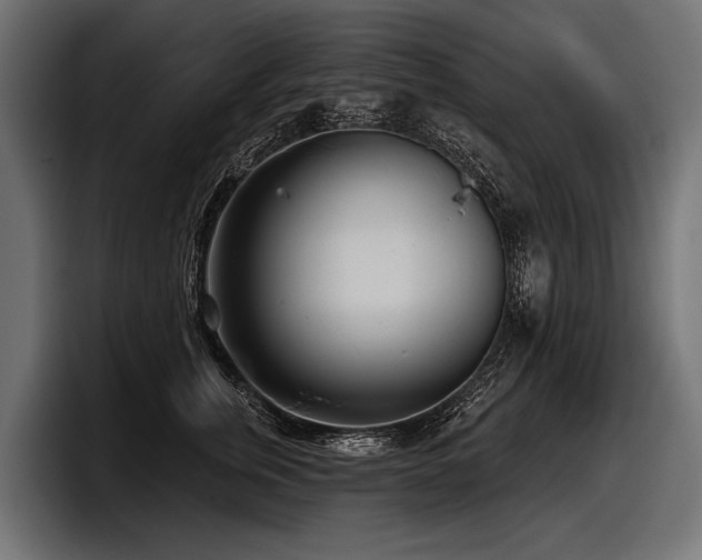 X0000097950759200803241153