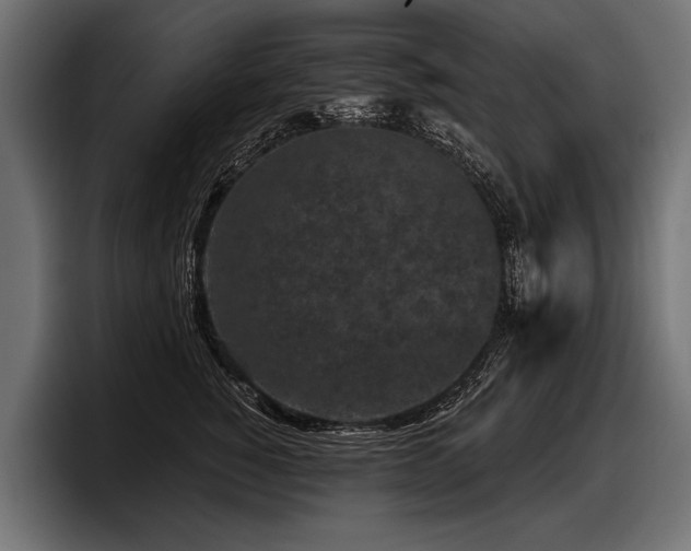 X0000097950760200803241153