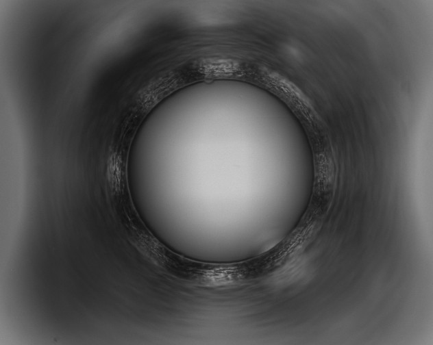 X0000097950761200803241153