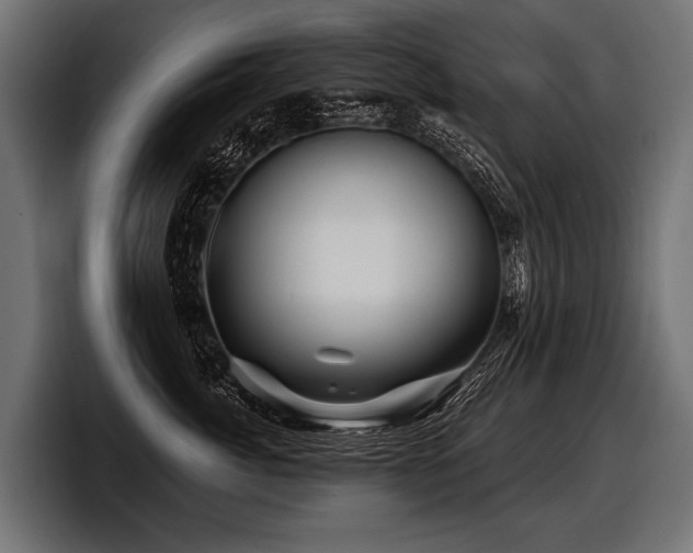 X0000097950764200803241153