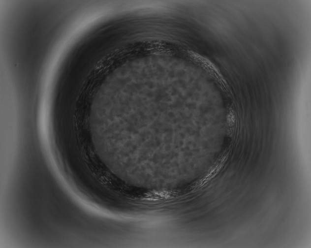 X0000097950765200803241153