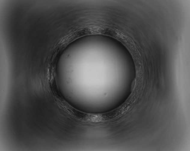 X0000097950768200803241153