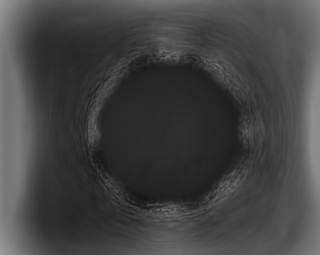 X0000097950769200803241153