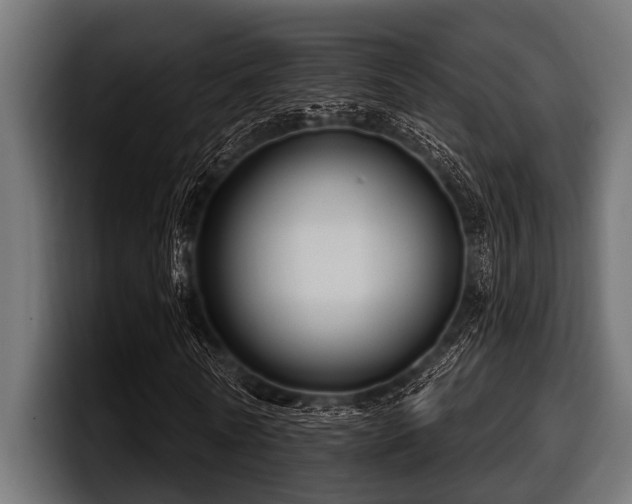X0000097950770200803241153