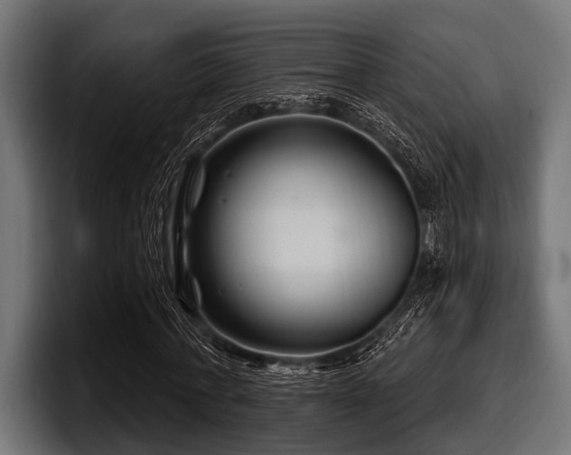 X0000097950771200803241153