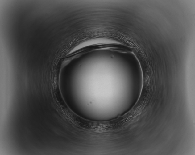 X0000097950772200803241153