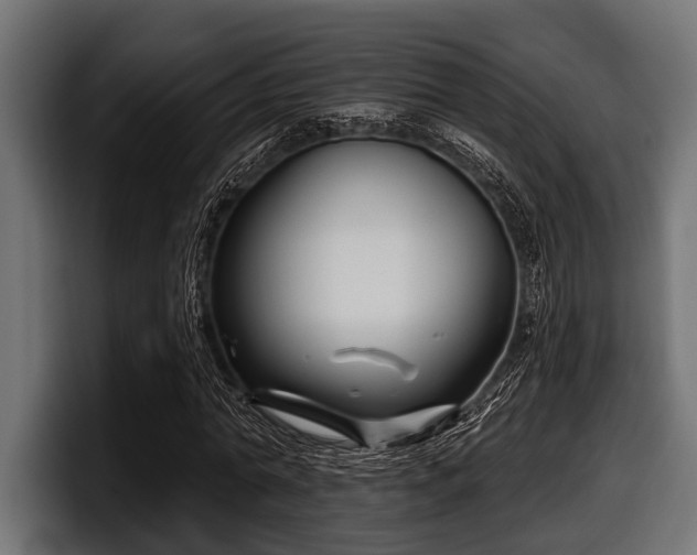 X0000097950774200803241153