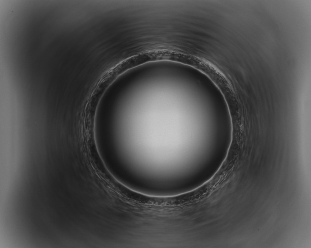 X0000097950775200803241153