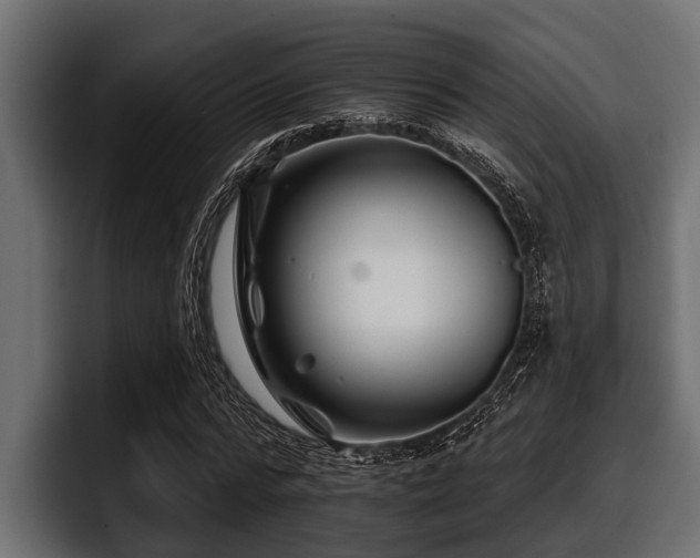 X0000097950776200803241153