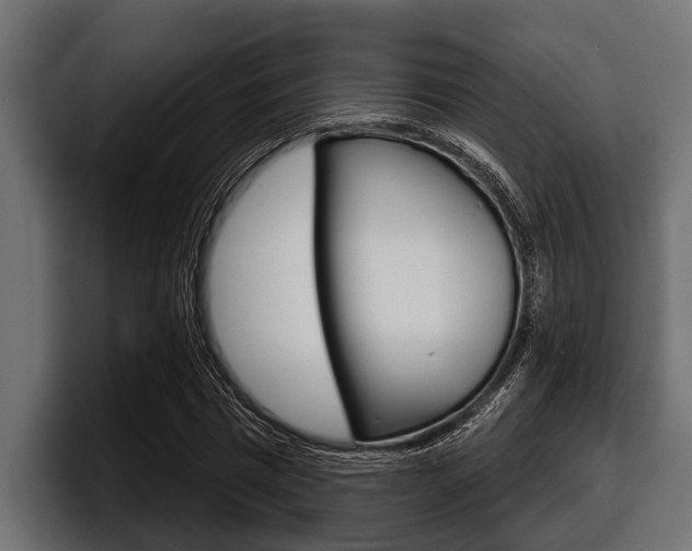 X0000097950777200803241153