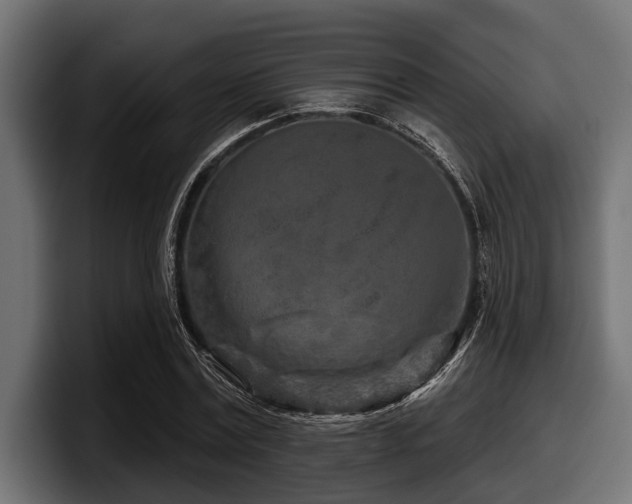 X0000097950779200803241153